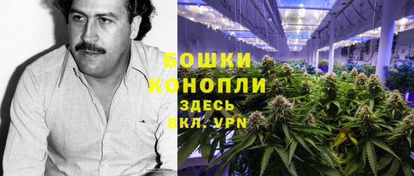 ПСИЛОЦИБИНОВЫЕ ГРИБЫ Алзамай