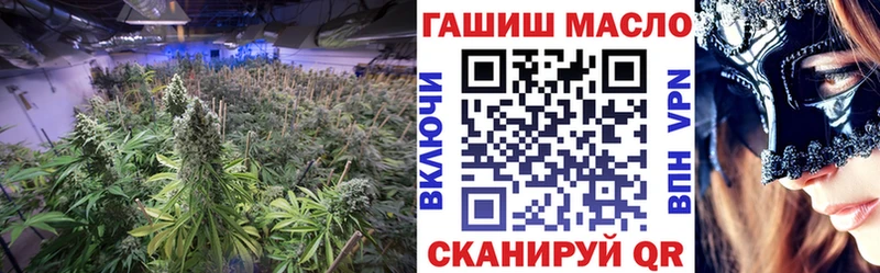 MEGA маркетплейс  Кондопога  Дистиллят ТГК Wax 